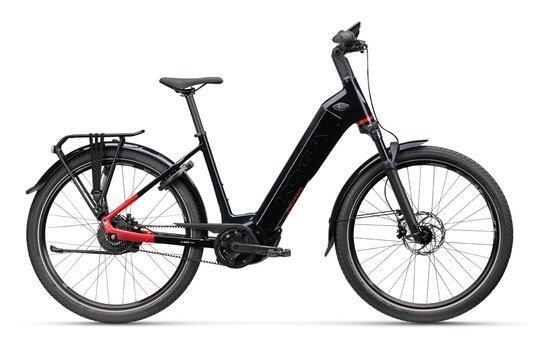 batavus